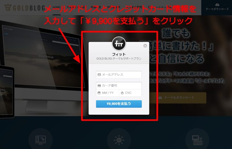 メールアドレスとクレジットカード情報を入力して「¥9,900を支払う」をクリック